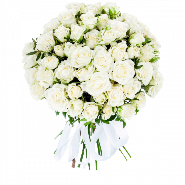 Букет из белых роз минус. Кустовые розы "Сноуфлейк". Белые кустовые розы. Белая кустовая роза Сноуфлейк. Букет "кустовая роза белая".